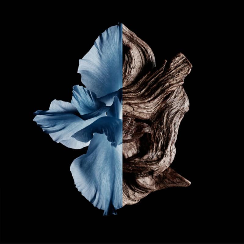 Givenchy Gentleman Eau de Toilette Intense