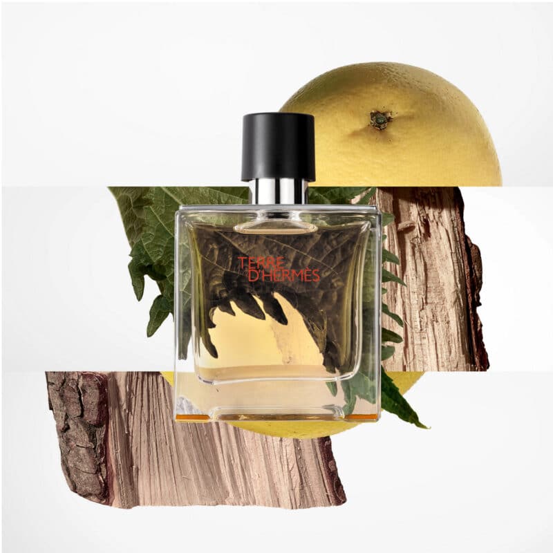 Hermès Terre d'Hermès Parfum