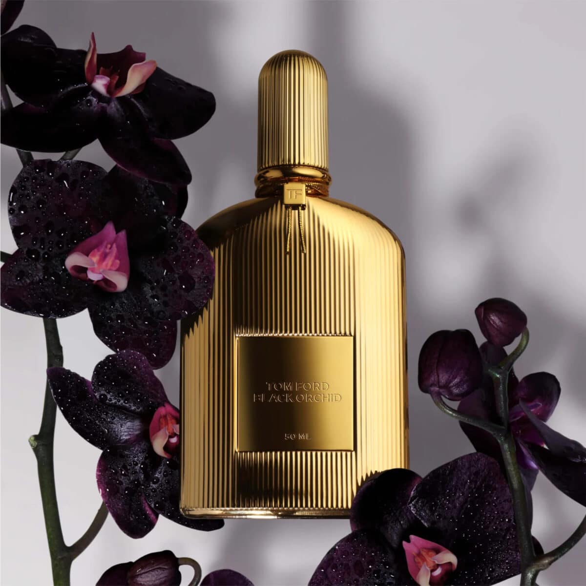 Tom Ford Black Orchid Parfum 50ml
